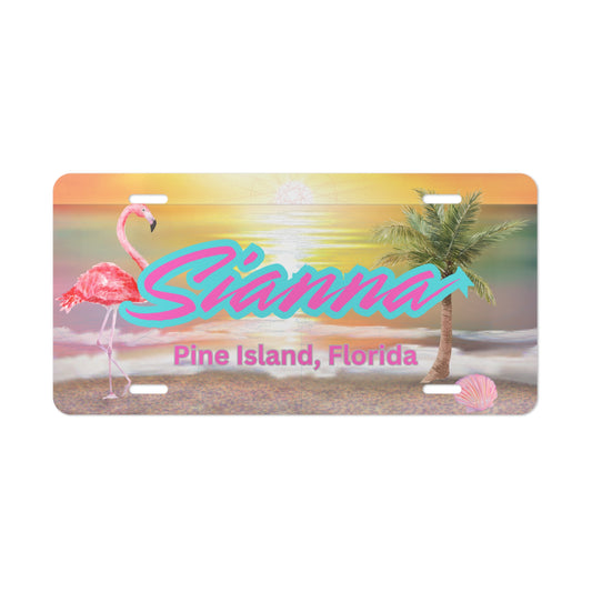 License Plate, Pine Island Florida Custom Name Personalized Gift, Plate Cover, Car Decoration, Car Accessories, Bokeelia, Matlacha, St James