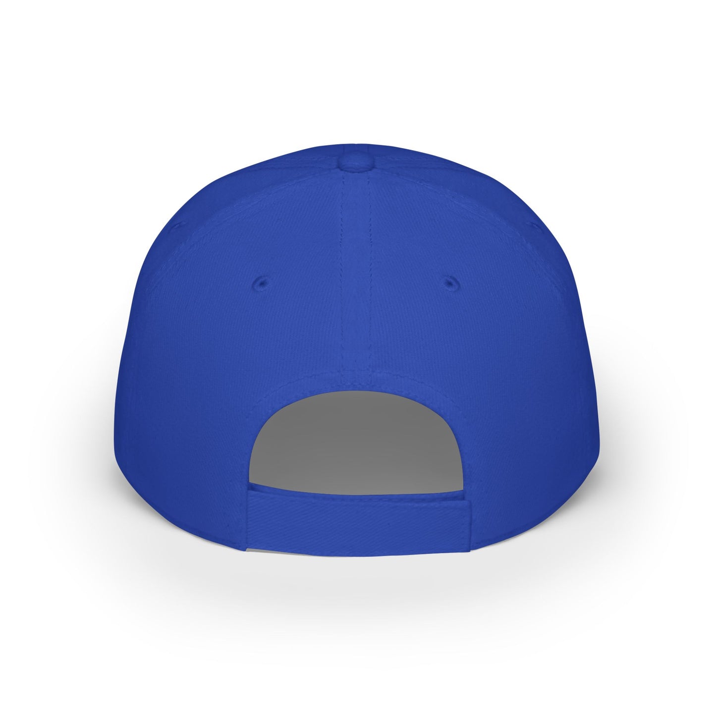 Baseball Cap Detroit 313 Sports Fan Apparel, Detroit Lions, Detroit Tigers, Detroit Red Wings, Detroit Pistons, Michigan