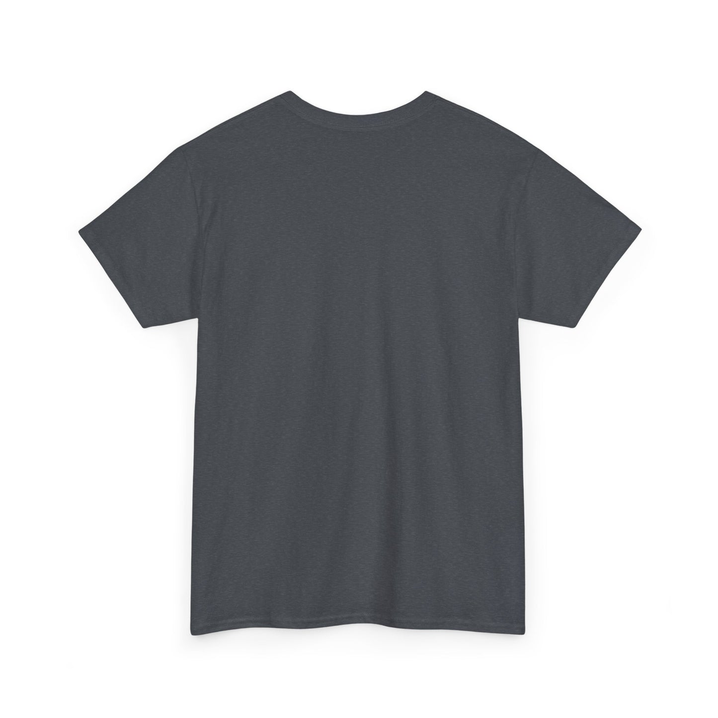 Here For The Half Time Show, Go Lions, Lions Football, Super Bowl Funny T-Shirt, Unisex Heavy Cotton Tee Sizes S-5XL, Football Shirt