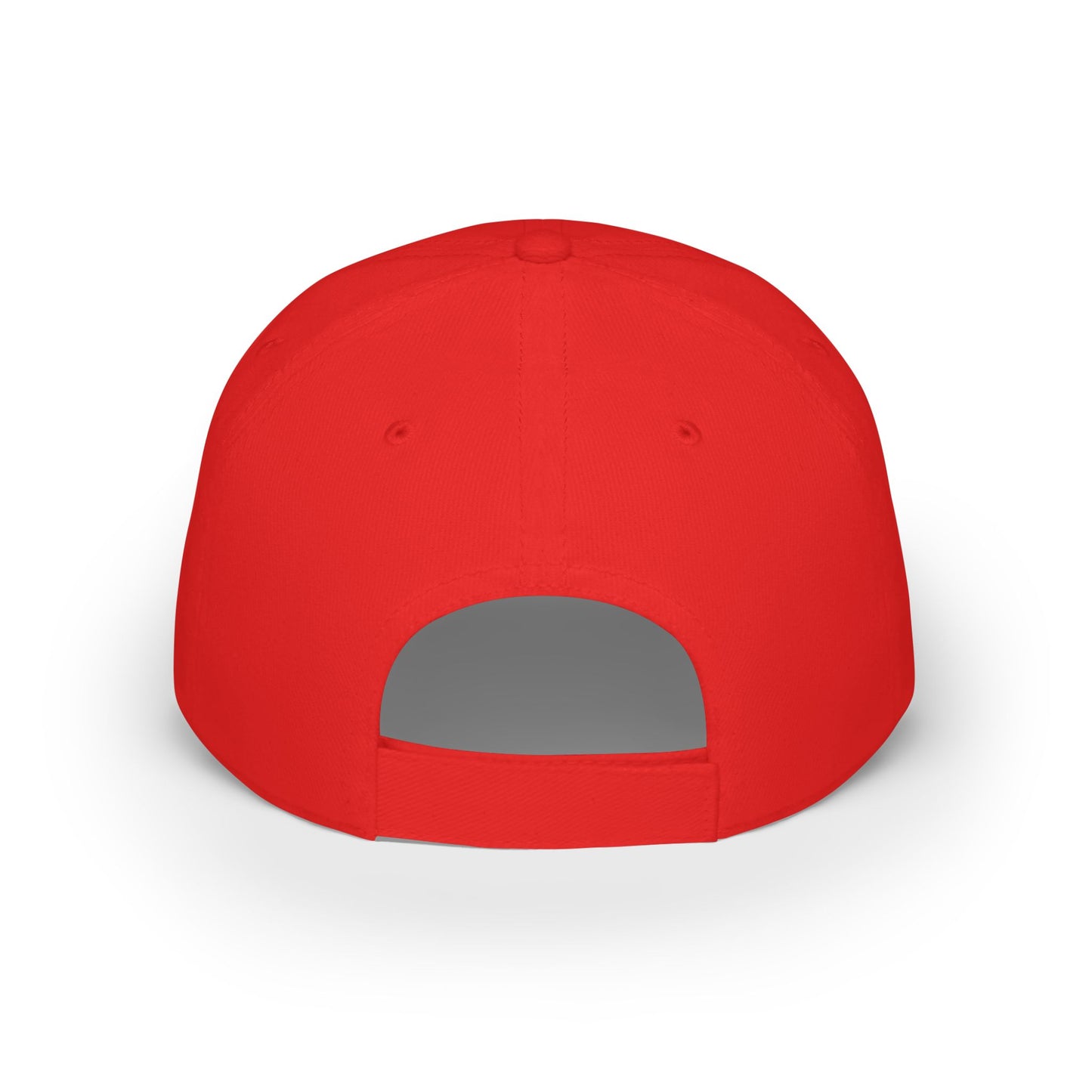 Baseball Cap Detroit 313 Sports Fan Apparel, Detroit Lions, Detroit Tigers, Detroit Red Wings, Detroit Pistons, Michigan