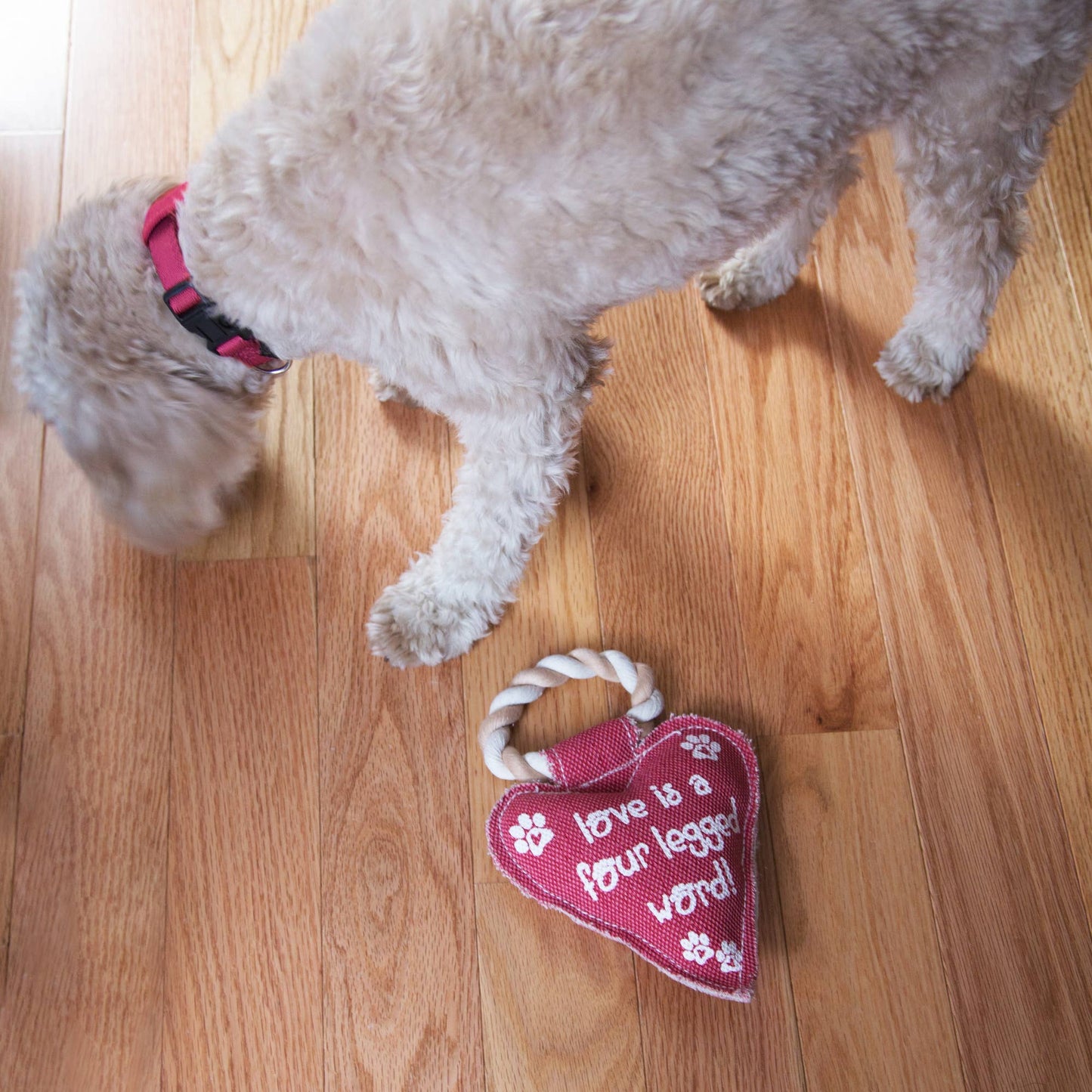 Heart Love - 10" Canvas Dog Toy on Rope