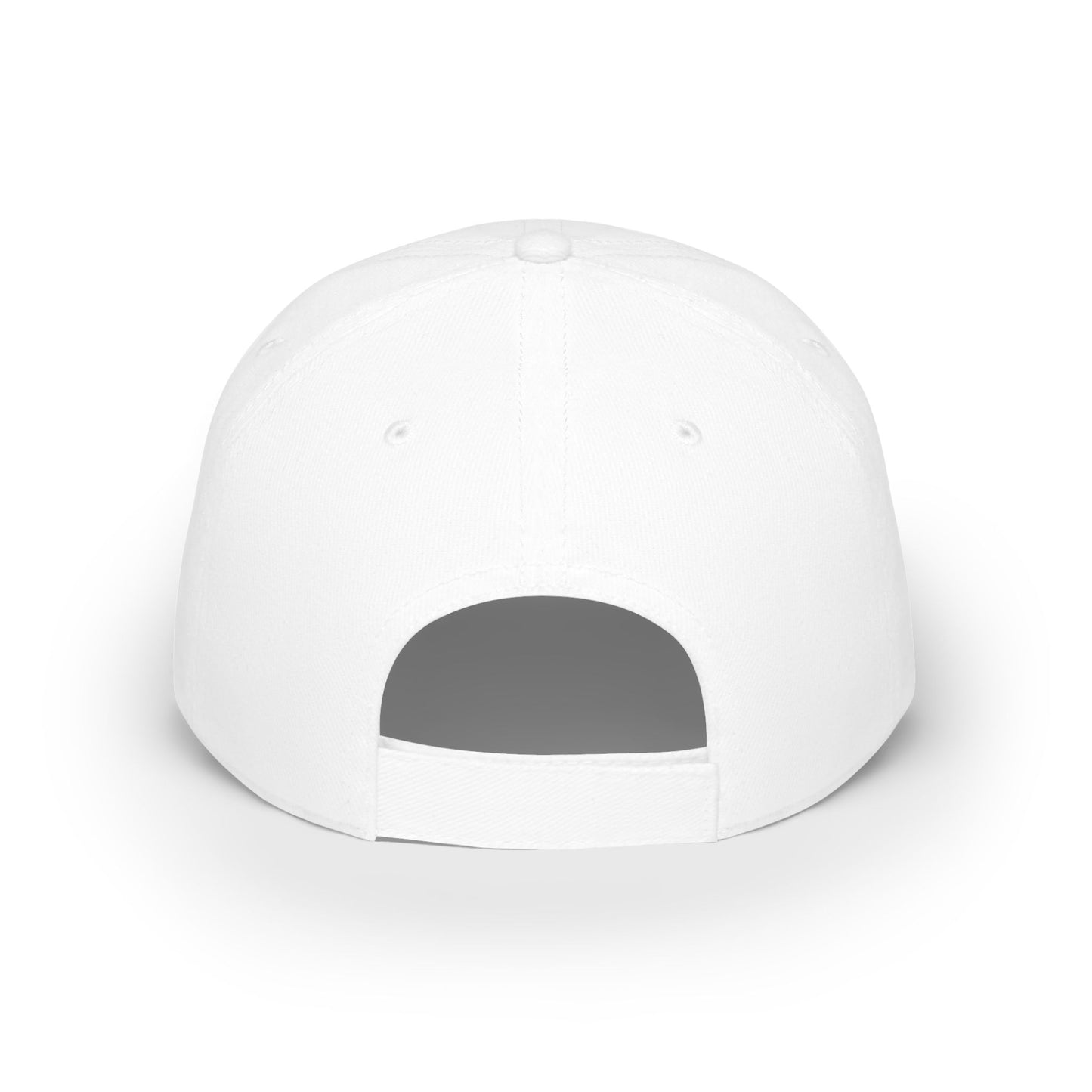 Baseball Cap Detroit 313 Sports Fan Apparel, Detroit Lions, Detroit Tigers, Detroit Red Wings, Detroit Pistons, Michigan