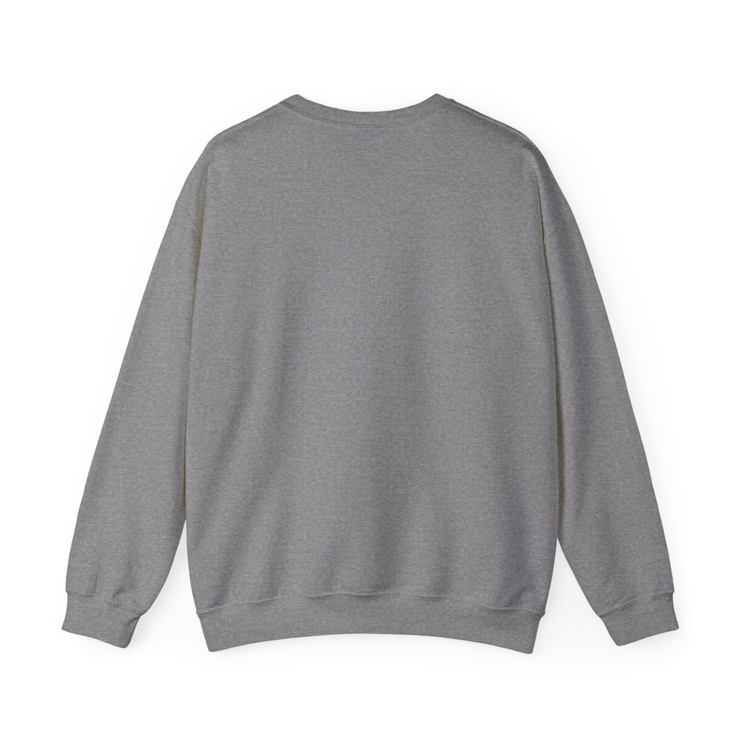 Super Bowl Here For The Half Time Show Go Lions Sweatshirt - Unisex Crewneck, Football Fan Gift, Super Bowl Sunday Apparel, Game Day Wear,