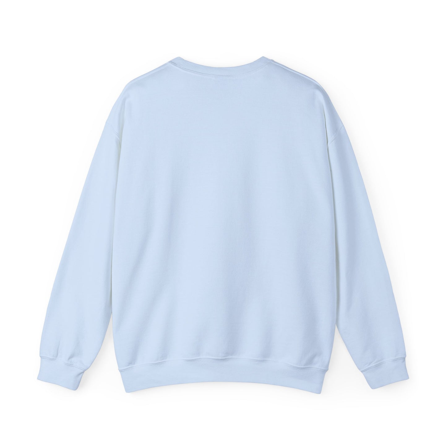 Super Bowl Here For The Half Time Show Go Lions Sweatshirt - Unisex Crewneck, Football Fan Gift, Super Bowl Sunday Apparel, Game Day Wear,