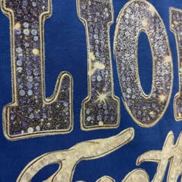 Champion Lions Football  Crewneck Sweatshirt Glitter Faux Bling Adult Sizes Small - XL 32.00 2x 3x 36.00