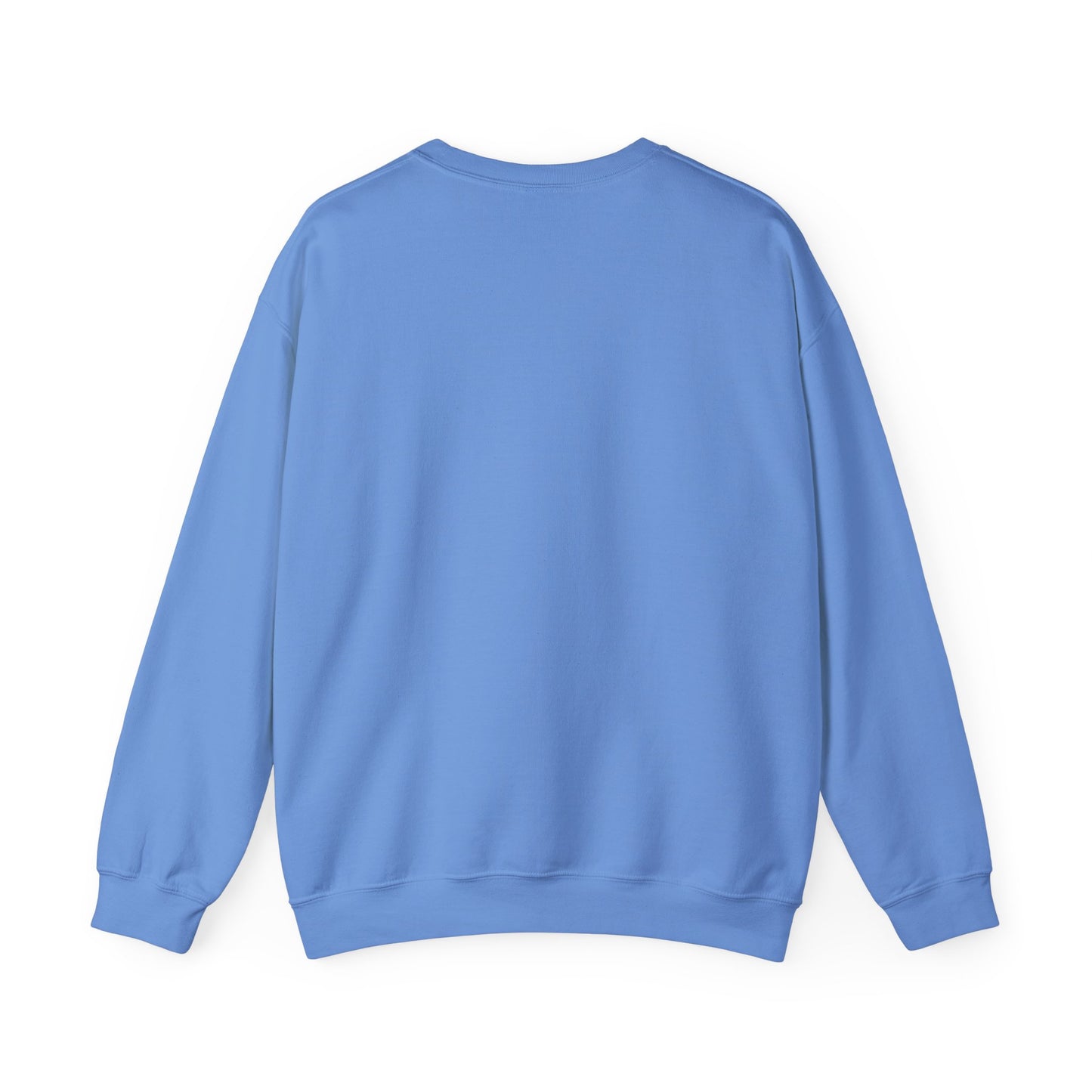 Super Bowl Here For The Half Time Show Go Lions Sweatshirt - Unisex Crewneck, Football Fan Gift, Super Bowl Sunday Apparel, Game Day Wear,