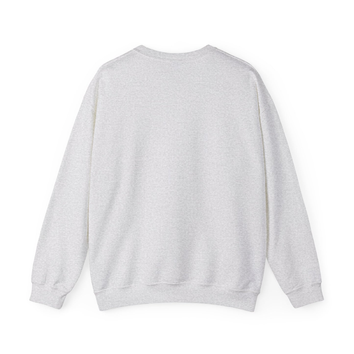 Super Bowl Here For The Half Time Show Go Lions Sweatshirt - Unisex Crewneck, Football Fan Gift, Super Bowl Sunday Apparel, Game Day Wear,