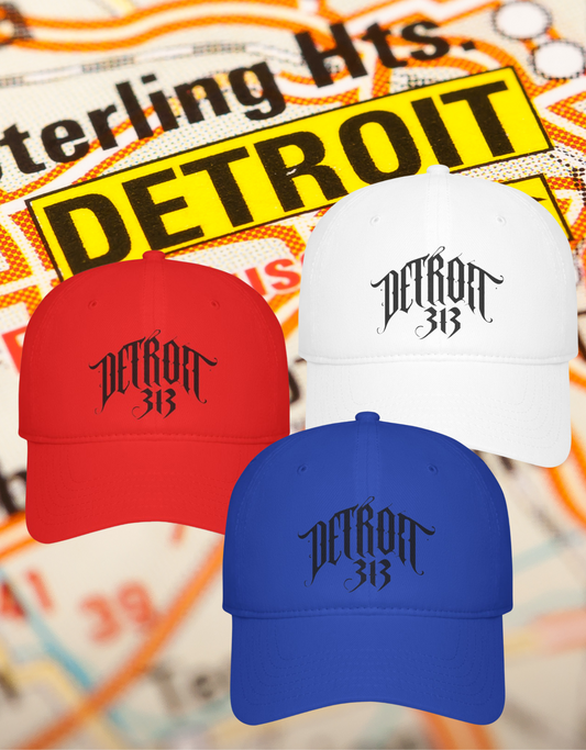 Baseball Cap Detroit 313 Sports Fan Apparel, Detroit Lions, Detroit Tigers, Detroit Red Wings, Detroit Pistons, Michigan