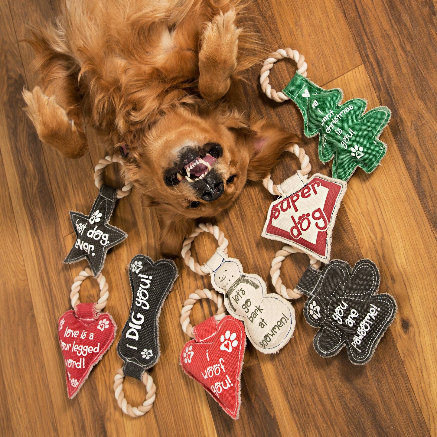 Heart Love - 10" Canvas Dog Toy on Rope
